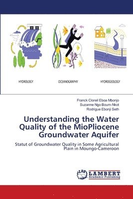 Understanding the Water Quality of the MioPliocene Groundwater Aquifer 1