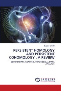 bokomslag Persistent Homology and Persistent Cohomology