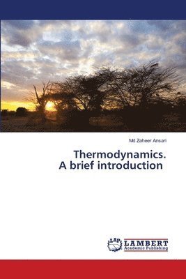 bokomslag Thermodynamics. A brief introduction