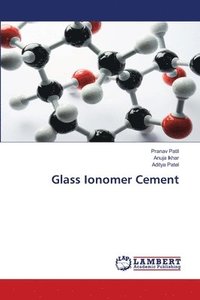 bokomslag Glass Ionomer Cement