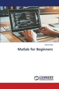 bokomslag Matlab for Beginners