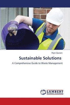 bokomslag Sustainable Solutions