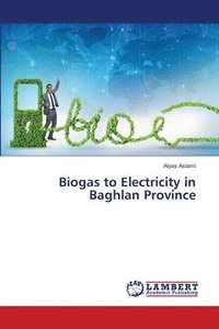 bokomslag Biogas to Electricity in Baghlan Province