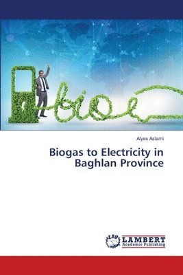 Biogas to Electricity in Baghlan Province 1
