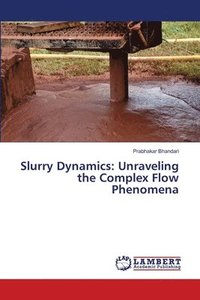 bokomslag Slurry Dynamics