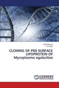 bokomslag CLONING OF P80 SURFACE LIPOPROTEIN OF Mycoplasma agalactiae