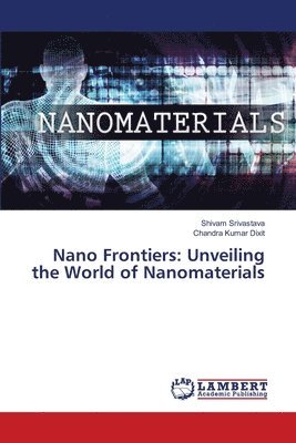 bokomslag Nano Frontiers