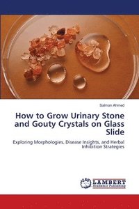 bokomslag How to Grow Urinary Stone and Gouty Crystals on Glass Slide