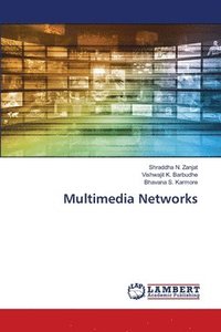 bokomslag Multimedia Networks