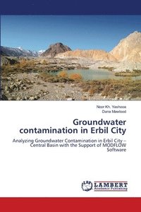 bokomslag Groundwater contamination in Erbil City