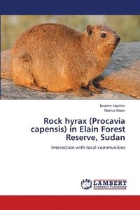 bokomslag Rock hyrax (Procavia capensis) in Elain Forest Reserve, Sudan