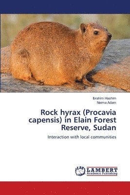 Rock hyrax (Procavia capensis) in Elain Forest Reserve, Sudan 1