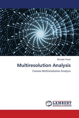 bokomslag Multiresolution Analysis