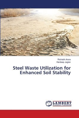 Steel Waste Utilization for Enhanced Soil Stability 1