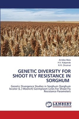 bokomslag Genetic Diversity for Shoot Fly Resistance in Sorghum