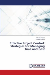 bokomslag Effective Project Control