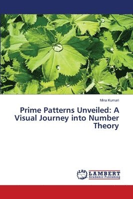 Prime Patterns Unveiled 1