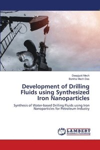 bokomslag Development of Drilling Fluids using Synthesized Iron Nanoparticles