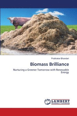 bokomslag Biomass Brilliance