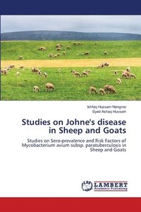 bokomslag Studies on Johne's disease in Sheep and Goats