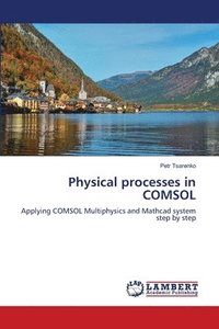bokomslag Physical processes in COMSOL