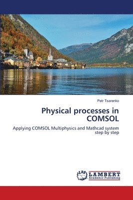 bokomslag Physical processes in COMSOL