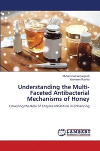 bokomslag Understanding the Multi-Faceted Antibacterial Mechanisms of Honey