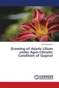 bokomslag Growing of Asiatic Lilium under Agro-Climatic Condition of Gujarat