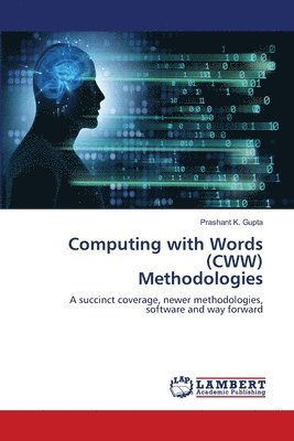 bokomslag Computing with Words (CWW) Methodologies