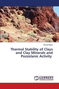 bokomslag Thermal Stability of Clays and Clay Minerals and Pozzolanic Activity