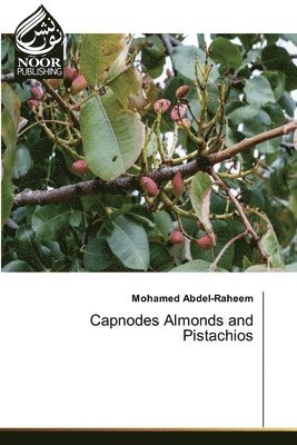 Capnodes Almonds and Pistachios 1