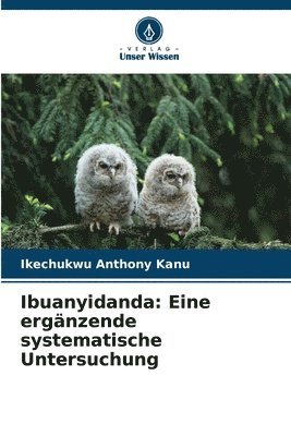 bokomslag Ibuanyidanda: Eine ergänzende systematische Untersuchung