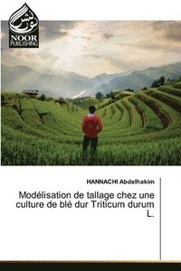 bokomslag Modélisation de tallage chez une culture de blé dur Triticum durum L.