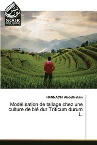 bokomslag Modlisation de tallage chez une culture de bl dur Triticum durum L.