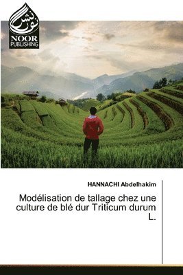 Modlisation de tallage chez une culture de bl dur Triticum durum L. 1