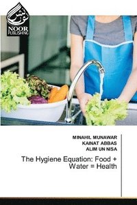 bokomslag Hygiene Equation