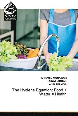 bokomslag Hygiene Equation