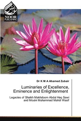 bokomslag Luminaries of Excellence, Eminence and Enlightenment