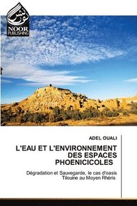 bokomslag L'Eau Et l'Environnement Des Espaces Phoenicicoles