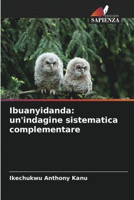 bokomslag Ibuanyidanda: un'indagine sistematica complementare