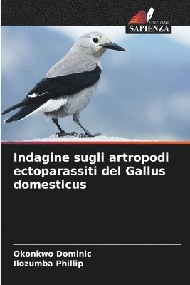 bokomslag Indagine sugli artropodi ectoparassiti del Gallus domesticus