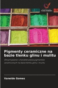 bokomslag Pigmenty ceramiczne na bazie tlenku glinu i mulitu