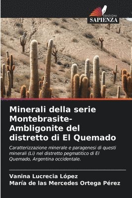 bokomslag Minerali della serie Montebrasite-Ambligonite del distretto di El Quemado