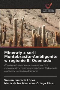 bokomslag Mineraly z serii Montebrasite-Ambligonite w regionie El Quemado
