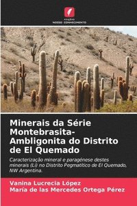 bokomslag Minerais da Série Montebrasita-Ambligonita do Distrito de El Quemado