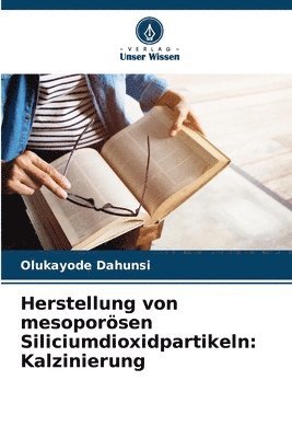 bokomslag Herstellung von mesoporösen Siliciumdioxidpartikeln: Kalzinierung