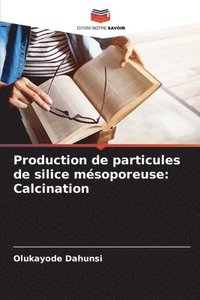 bokomslag Production de particules de silice mésoporeuse: Calcination