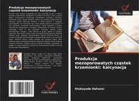 bokomslag Produkcja mezoporowatych cz?stek krzemionki: kalcynacja