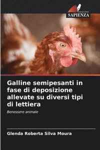 bokomslag Galline semipesanti in fase di deposizione allevate su diversi tipi di lettiera