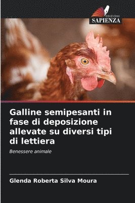 bokomslag Galline semipesanti in fase di deposizione allevate su diversi tipi di lettiera